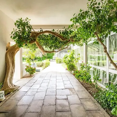 Rocha Seaview By Cc 810 *